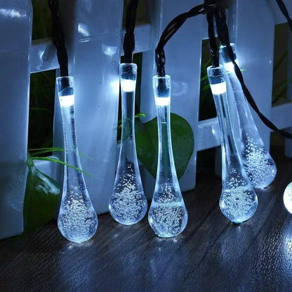 Garden Solar Lights